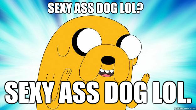 Sexy Ass Dog Lol. Sexy Ass Dog Lol?  Jake The Dog