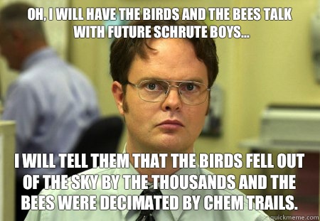 Oh, I will have the birds and the bees talk with future Schrute boys... I will tell them that the birds fell out of the sky by the thousands and the bees were decimated by chem trails. - Oh, I will have the birds and the bees talk with future Schrute boys... I will tell them that the birds fell out of the sky by the thousands and the bees were decimated by chem trails.  Schrute