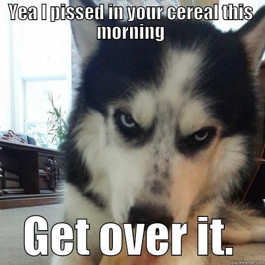 YEA I PISSED IN YOUR CEREAL THIS MORNING GET OVER IT. Misc