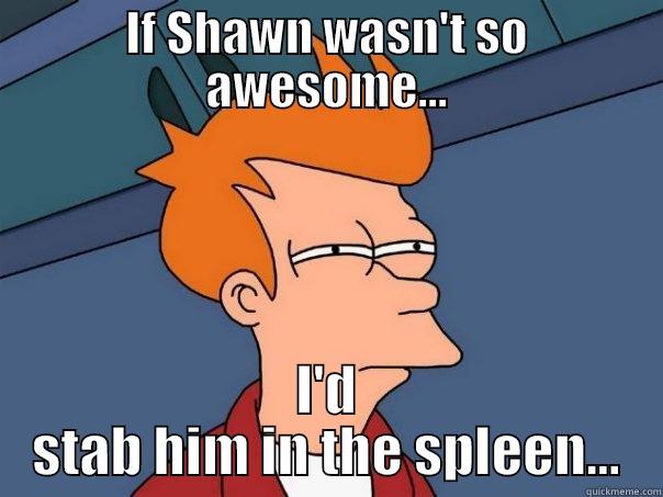 IF SHAWN WASN'T SO AWESOME... I'D STAB HIM IN THE SPLEEN... Futurama Fry