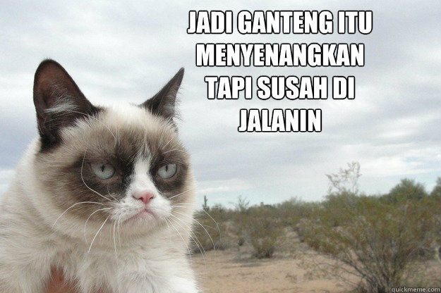 jadi ganteng itu menyenangkan tapi susah di jalanin  Grump Cat