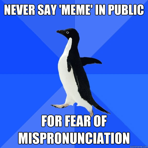 Never say 'meme' in public for fear of mispronunciation  Socially Awkward Penguin