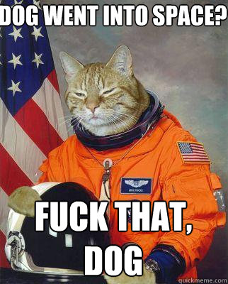 DOG WENT INTO SPACE? FUCK THAT, DOG - DOG WENT INTO SPACE? FUCK THAT, DOG  Astronaut cat