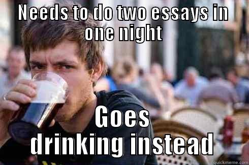 NEEDS TO DO TWO ESSAYS IN ONE NIGHT GOES DRINKING INSTEAD Lazy College Senior