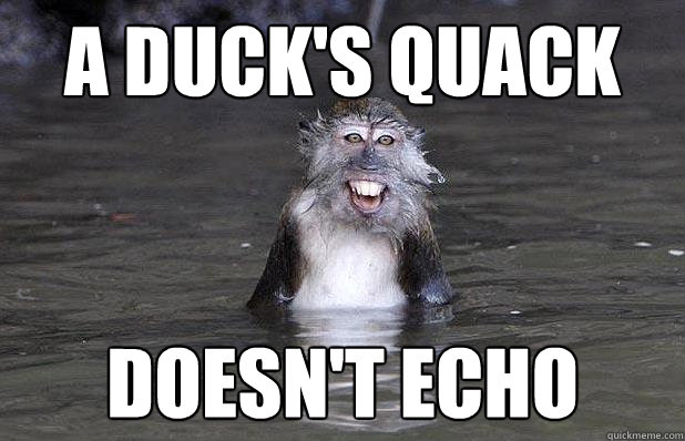 a duck's quack doesn't echo  