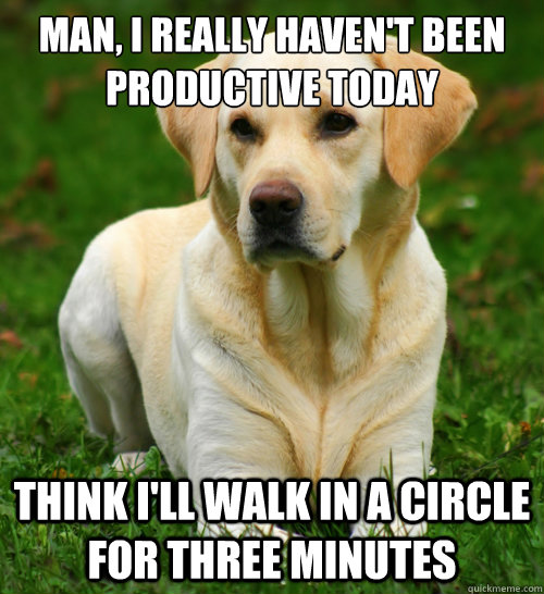 Man, I really haven't been  productive today Think I'll walk in a circle for three minutes - Man, I really haven't been  productive today Think I'll walk in a circle for three minutes  Dog Logic