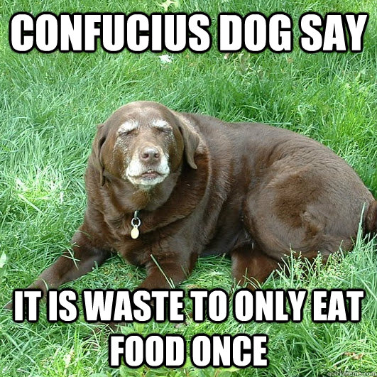 Confucius dog say it is waste to only eat food once  Confucius Dog