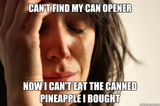 can't find my can opener now i can't eat the canned pineapple i bought  First World Problems