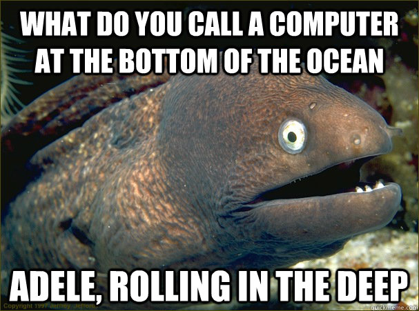 What do you call a computer at the bottom of the ocean Adele, Rolling in the Deep  Bad Joke Eel