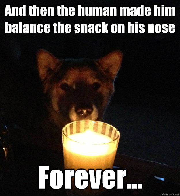 And then the human made him balance the snack on his nose Forever...  Scary Story Dog
