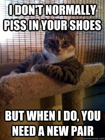 I don't normally piss in your shoes but when I do, you need a new pair  The Most Interesting Cat in the World