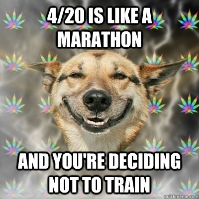 4/20 is like a marathon and you're deciding not to train - 4/20 is like a marathon and you're deciding not to train  Stoner Dog