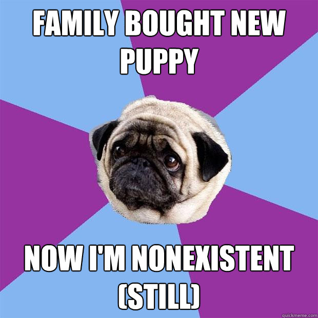 Family bought new puppy Now I'm nonexistent (still)  Lonely Pug