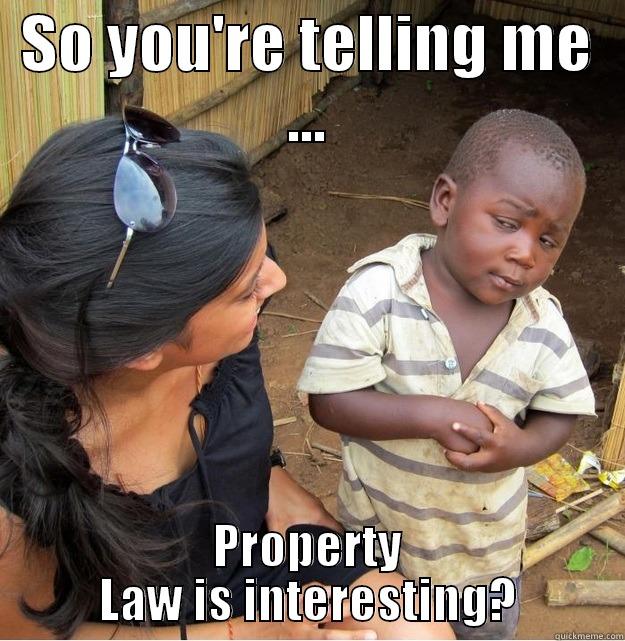 SO YOU'RE TELLING ME ... PROPERTY LAW IS INTERESTING? Skeptical Third World Kid