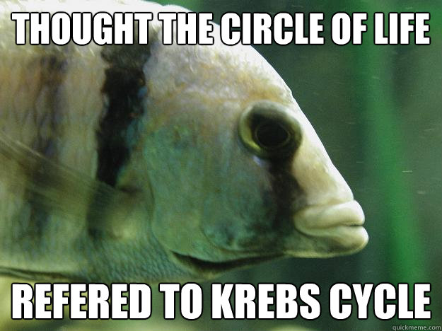 thought the circle of life refered to krebs cycle  Premed Fish
