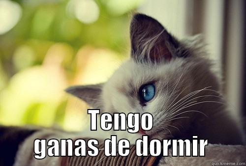  TENGO GANAS DE DORMIR First World Problems Cat