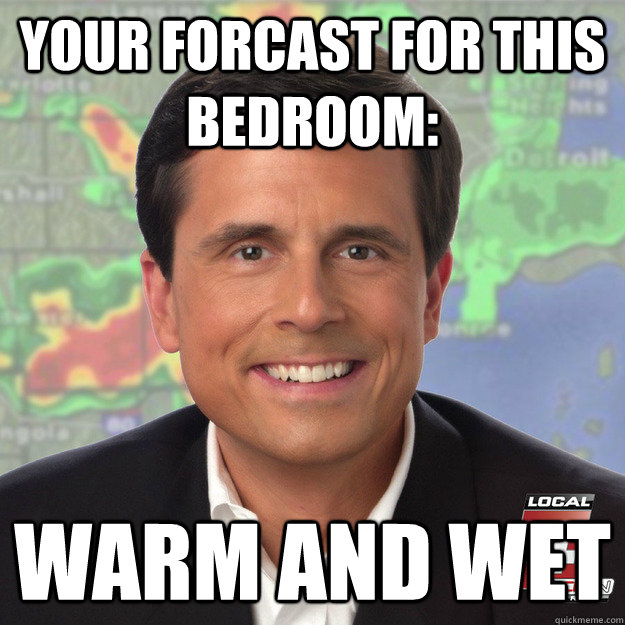 Your forcast for this bedroom: warm and wet - Your forcast for this bedroom: warm and wet  Attactive Local Weather Guy