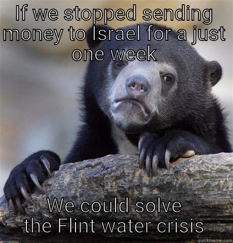 Flint solved - IF WE STOPPED SENDING MONEY TO ISRAEL FOR A JUST ONE WEEK WE COULD SOLVE THE FLINT WATER CRISIS Confession Bear