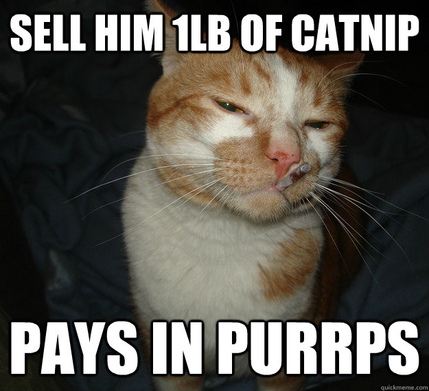 sell him 1lb of catnip pays in purrps  Good Guy Cat