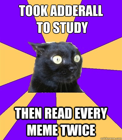 TOOK ADDERALL
 to study THEN READ EVERY MEME TWICE - TOOK ADDERALL
 to study THEN READ EVERY MEME TWICE  Anxiety Cat Dreams