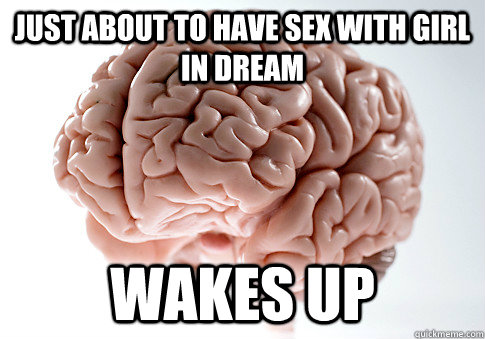 just about to have sex with girl in dream wakes up  Scumbag Brain