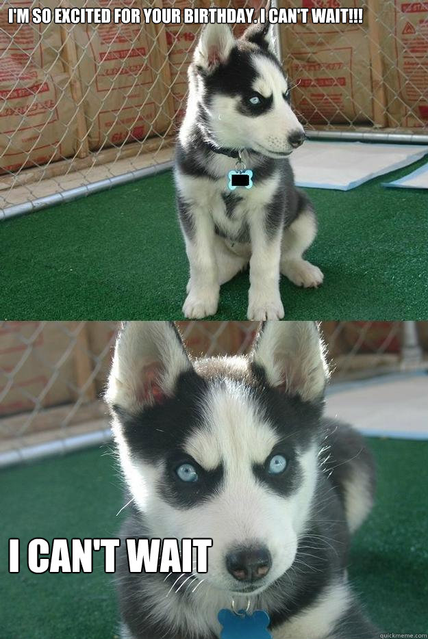 I'm so excited for your birthday. I can't wait!!! i can't wait  Insanity puppy