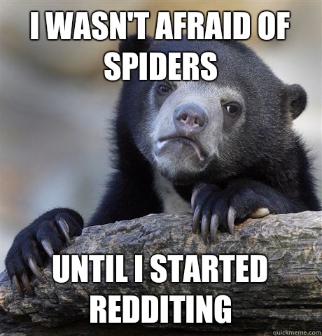 I wasn't afraid of spiders Until I started redditing  Confession Bear