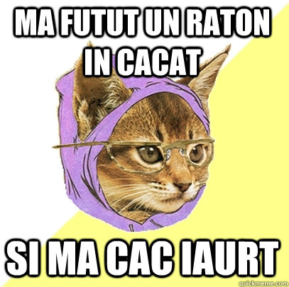 MA FUTUT UN RATON IN CACAT SI MA CAC IAURT  Hipster Kitty