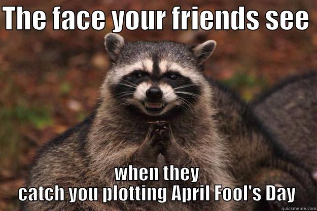 THE FACE YOUR FRIENDS SEE  WHEN THEY CATCH YOU PLOTTING APRIL FOOL'S DAY Evil Plotting Raccoon