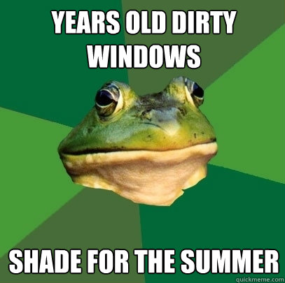 Years old dirty windows shade for the summer  Foul Bachelor Frog