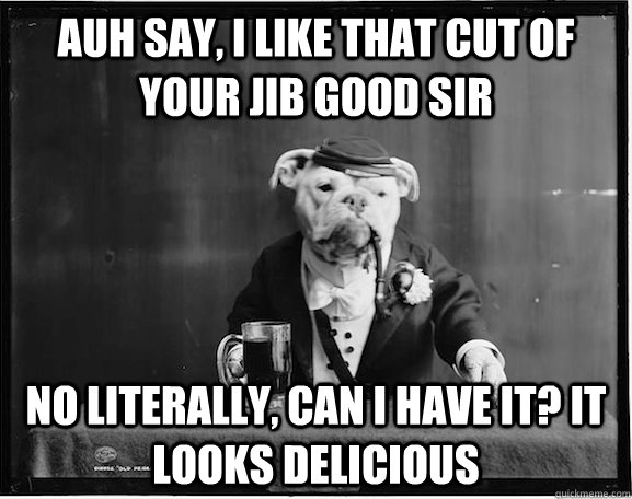 auh say, i like that cut of your jib good sir no literally, can i have it? it looks delicious  southern gentleman dog