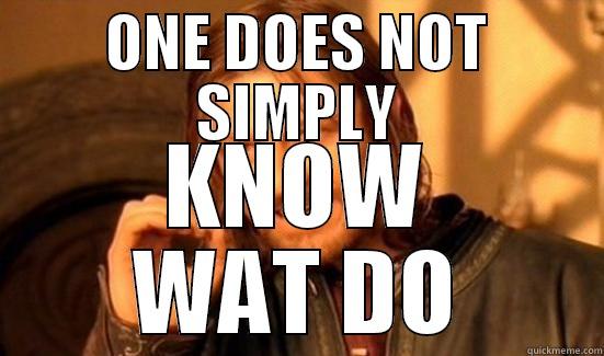 ONE DOES NOT SIMPLY KNOW WAT DO Boromir