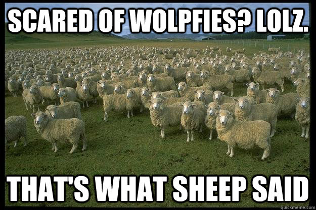 scared of wolpfies? lolz. that's what sheep said  