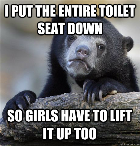 I put the entire toilet seat down So girls have to lift it up too  Confession Bear