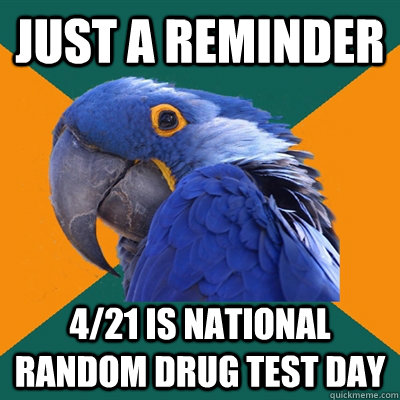 Just a reminder  4/21 is national random drug test day - Just a reminder  4/21 is national random drug test day  Paranoid Parrot