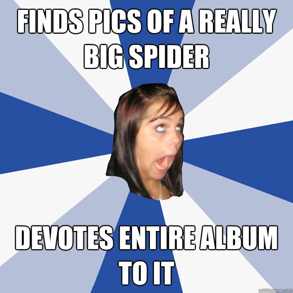 finds pics of a really big spider devotes entire album to it  Annoying Facebook Girl