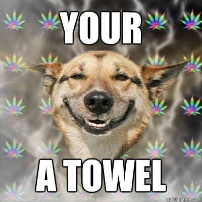 your a towel  Stoner Dog