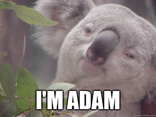  I'm adam  Koala