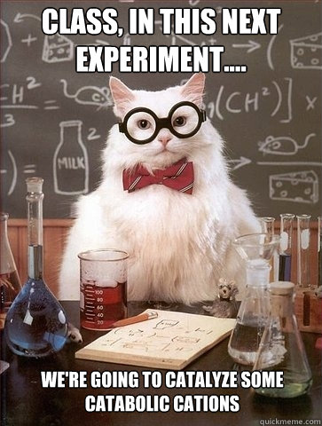 Class, in this next experiment.... we're going to catalyze some catabolic cations   Chemistry Cat