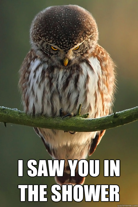  I saw you in the shower -  I saw you in the shower  Stalker Owl