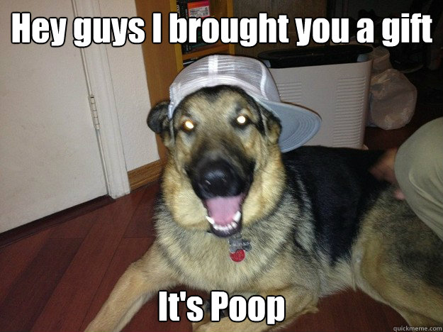 Hey guys I brought you a gift It's Poop - Hey guys I brought you a gift It's Poop  Scumbag Scruff