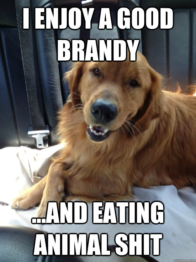 I enjoy a good brandy ...and eating animal shit - I enjoy a good brandy ...and eating animal shit  Sophisticated Dog