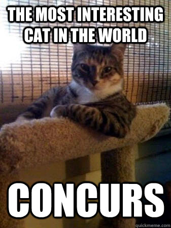 the most interesting cat in the world  concurs  The Most Interesting Cat in the World