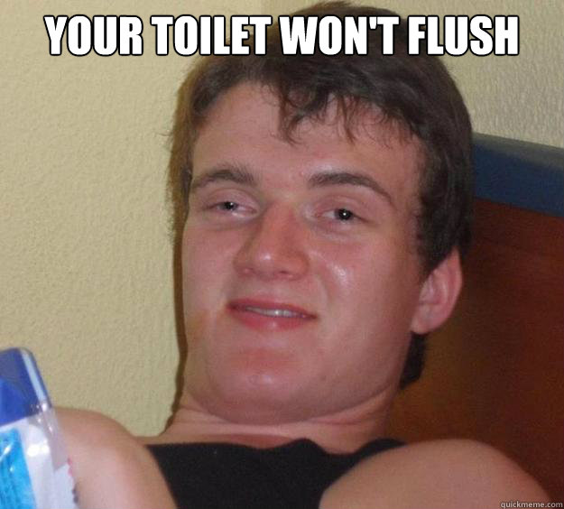 Your toilet won't flush   10 Guy