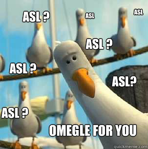 asl ? ASL? asl ? asl ? asl ? ASL asl Omegle for you  - asl ? ASL? asl ? asl ? asl ? ASL asl Omegle for you   seagulls