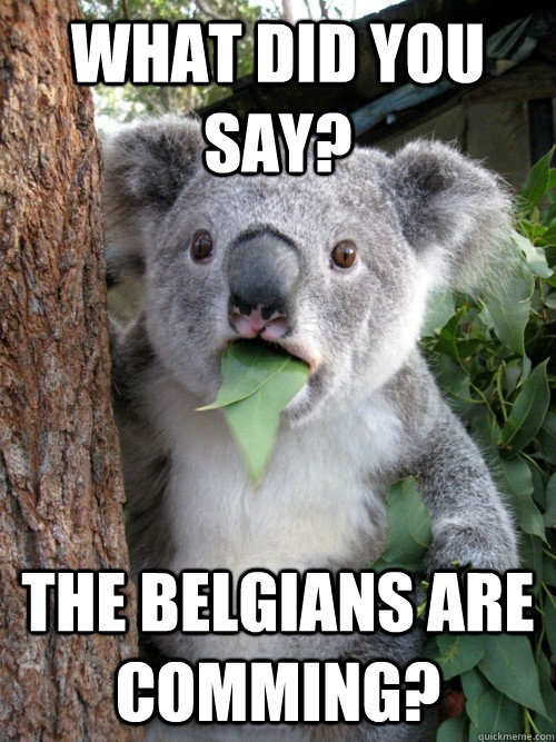 What did you say? The Belgians are comming?  Surprised Koala