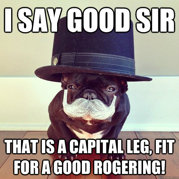 I say good sir that is a capital leg, fit for a good rogering! - I say good sir that is a capital leg, fit for a good rogering!  Misc