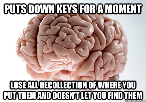 Puts down keys for a moment lose all recollection of where you put them and doesn't let you find them  Scumbag Brain