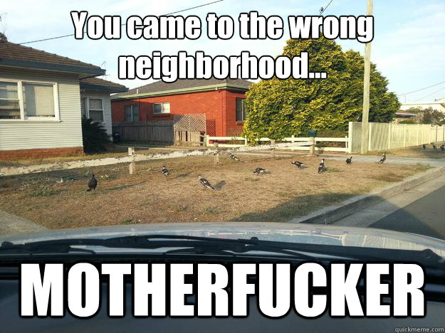 You came to the wrong
neighborhood... MOTHERFUCKER  Magpie Thugs