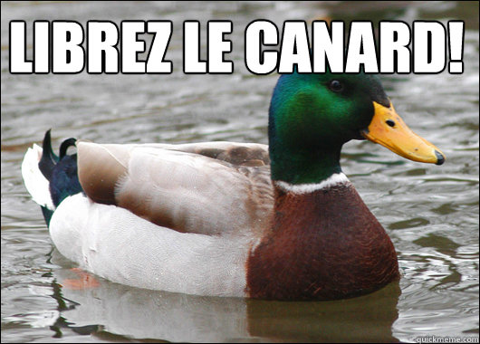 Libérez le canard!   Actual Advice Mallard
